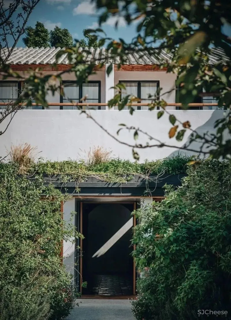 大理夕上酒店 尚壹扬 谢柯