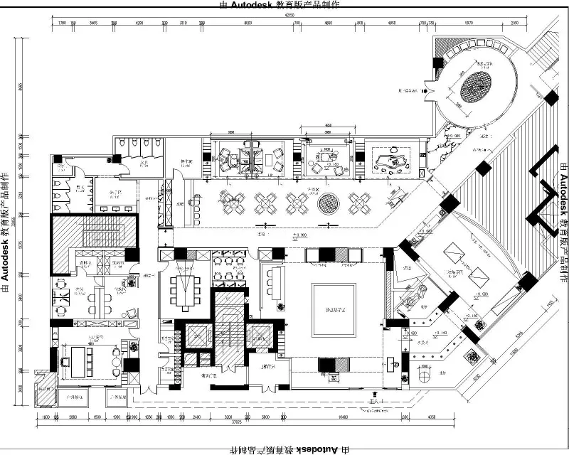 梧桐山下,回归自然,直面生命本质