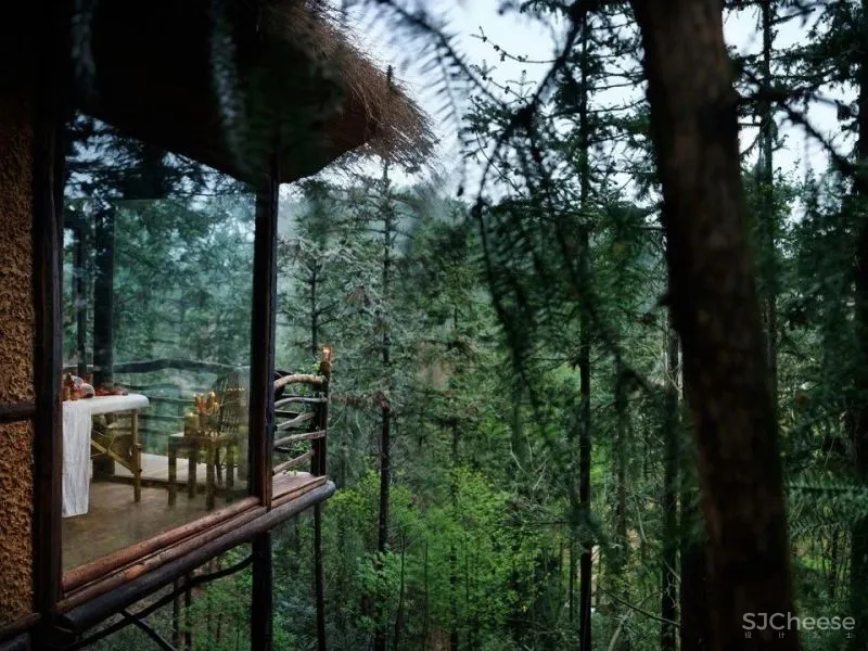 3月民宿考察之旅 在莫干山遇见春暖花开