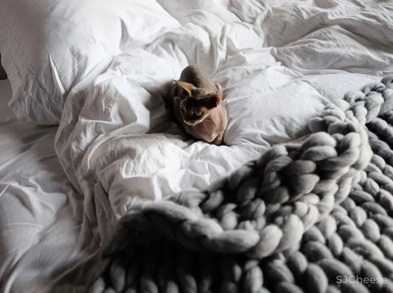 三间小公寓拼成136平大宅,时髦得不像话,人和猫都安逸!