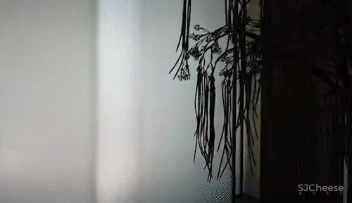 这是谁的泡泡糖？ 千墨设计 x 华润「星作」