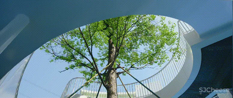 新作 终于来了，2020 中国最美幼儿园——广州圣果国际幼儿园！