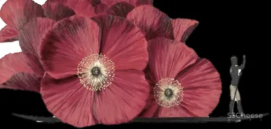 放开那个阳台,让它好玩儿——80㎡多元化空间 九和设计