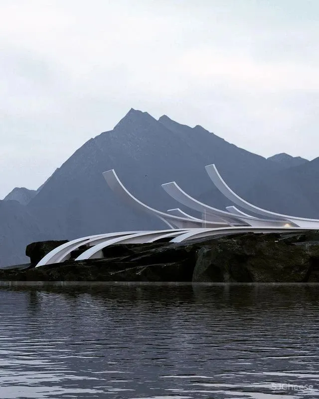 Roman Vlasov 疯狂又浪漫的设计