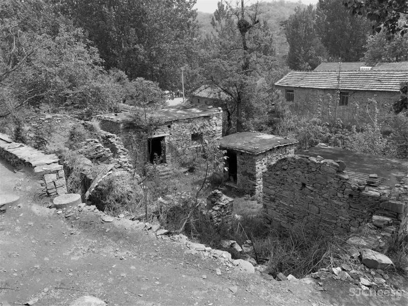 新作 十二个宅基地的新生：泰安东西门村活化更新 孟凡浩 gad · line studio