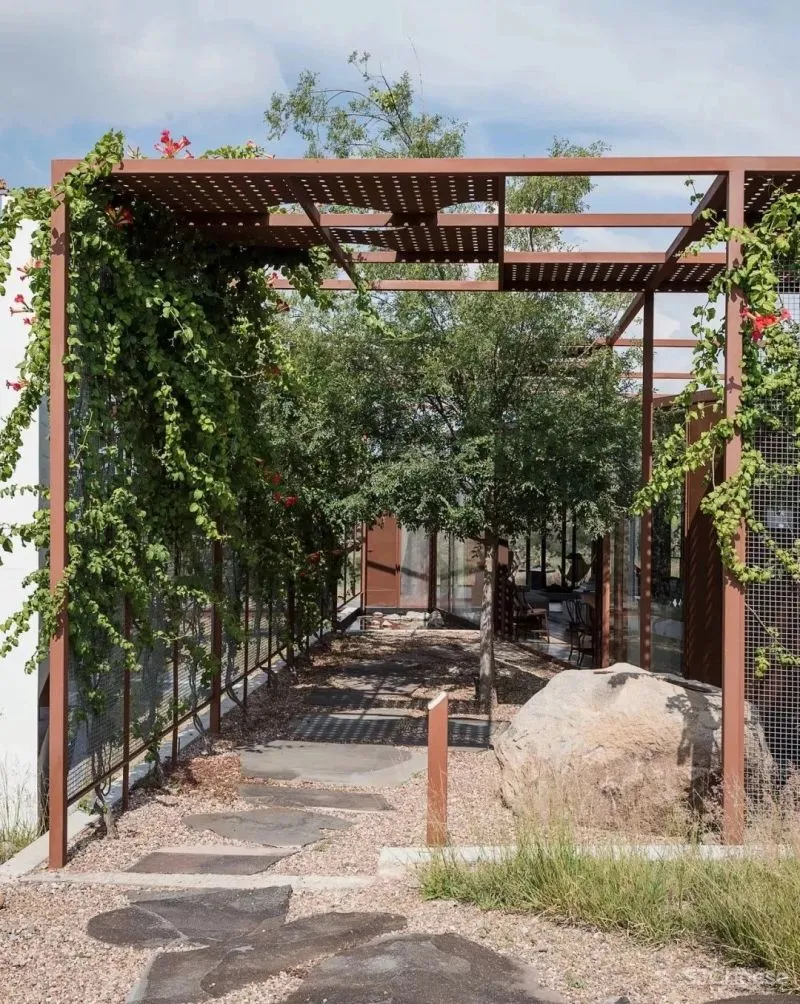 假如，你有个院子...