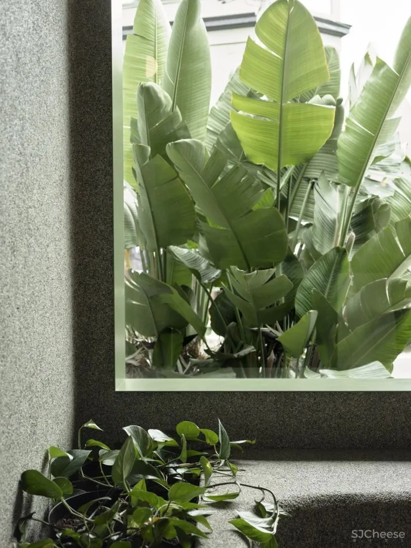 商业标杆 伊索Aesop CCA