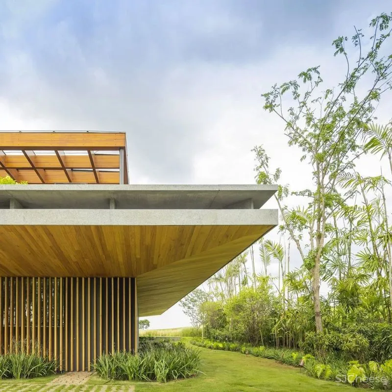 尊重自然，让建筑退让 Jacobsen