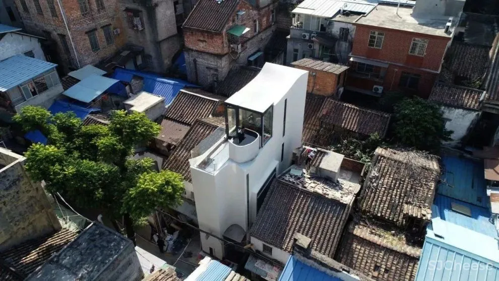 谢英凯『窝·居』｜房子不仅仅是给人住的，猫也有“主人权”