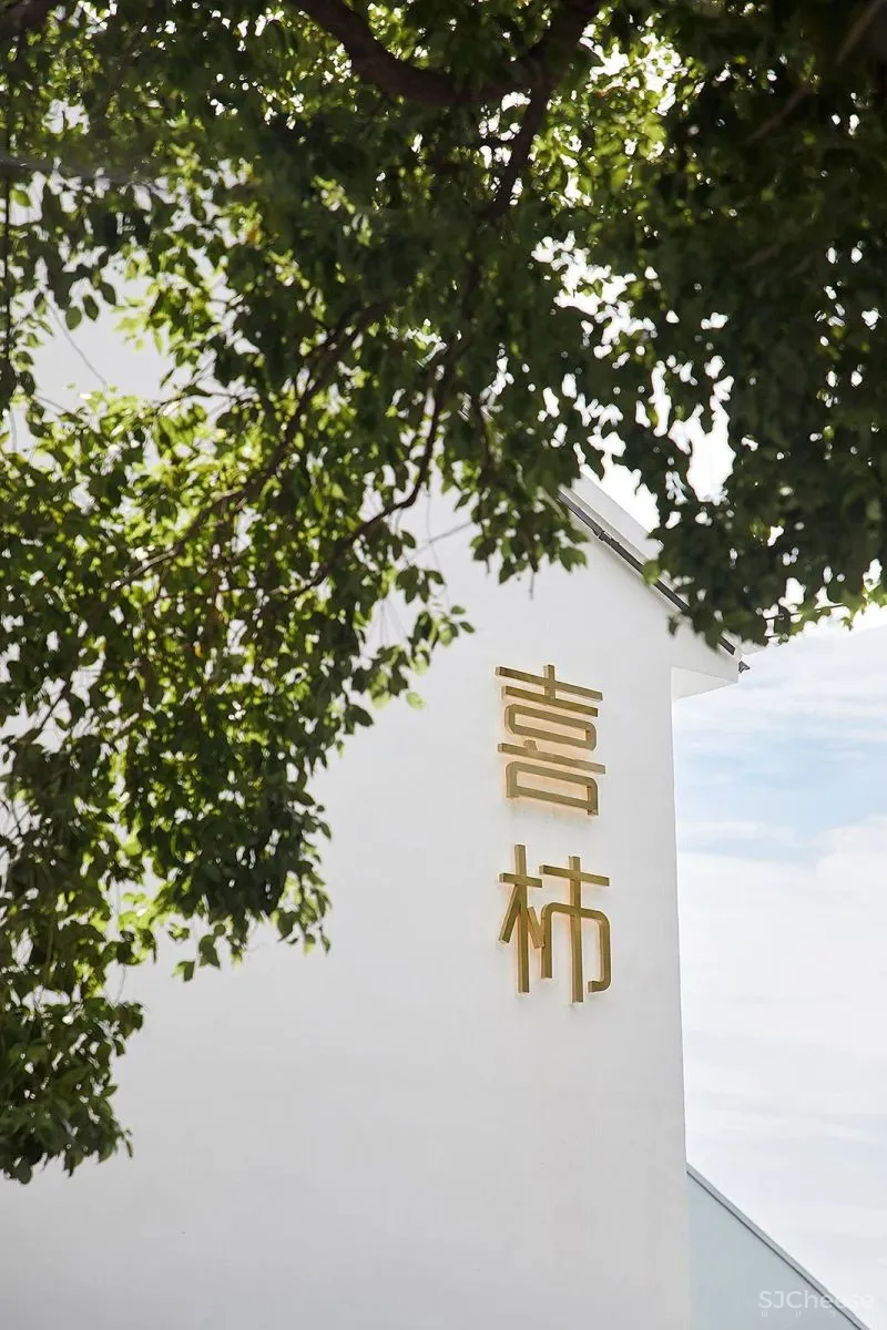 石伟达:从理性逻辑中寻找创意灵感