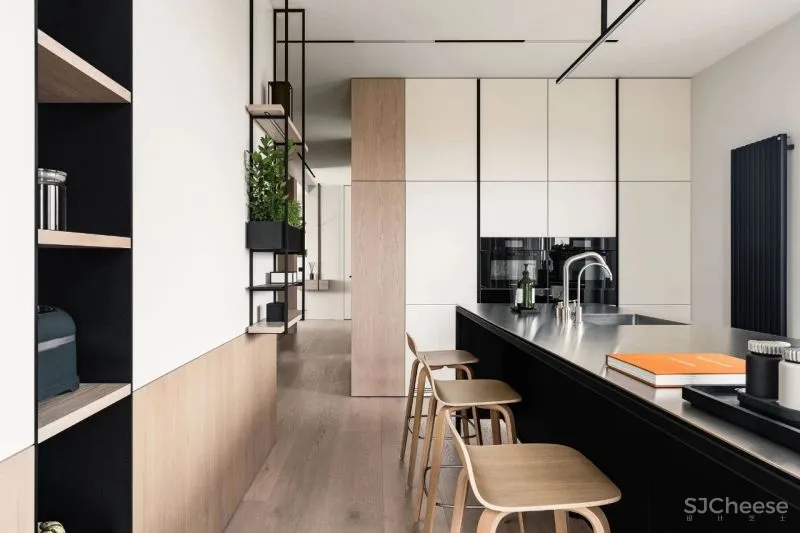 Interno Iza Gajewska新作|现代主义家庭美感