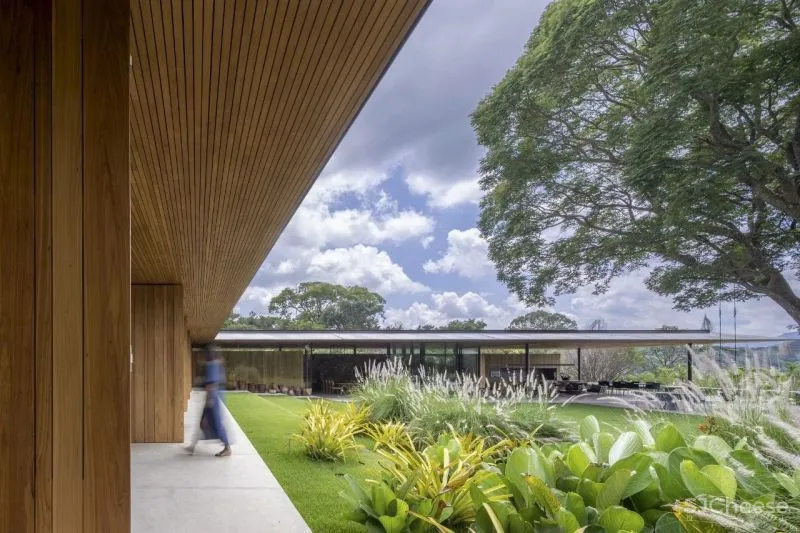 尊重自然，让建筑退让 Jacobsen