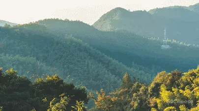 3月民宿考察之旅 在莫干山遇见春暖花开