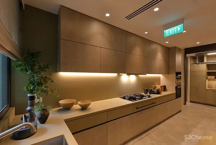 豪宅新作曝光!10000㎡内仅含56套房 Yabu