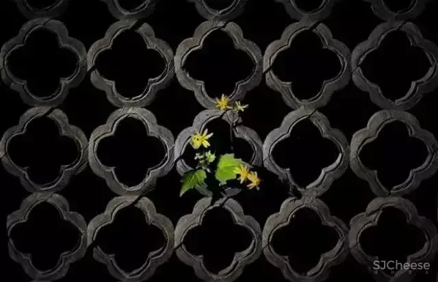 中式庭院,这才是最让我们心动的院子