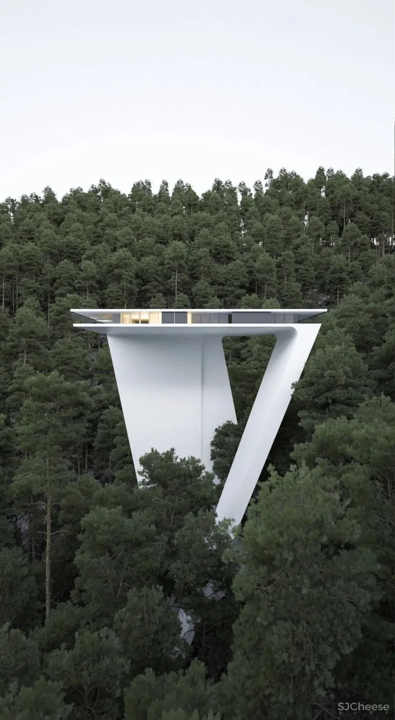 Roman Vlasov 疯狂又浪漫的设计