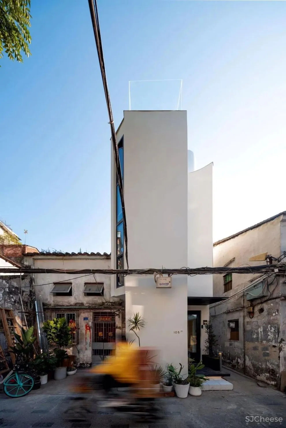 谢英凯『窝·居』｜房子不仅仅是给人住的，猫也有“主人权”