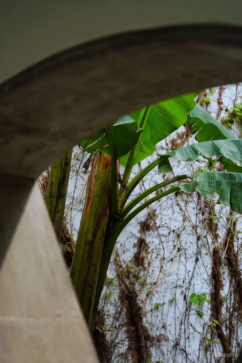 在贝聿铭家族的私宅泡汤，这家苏州大热的精品酒店