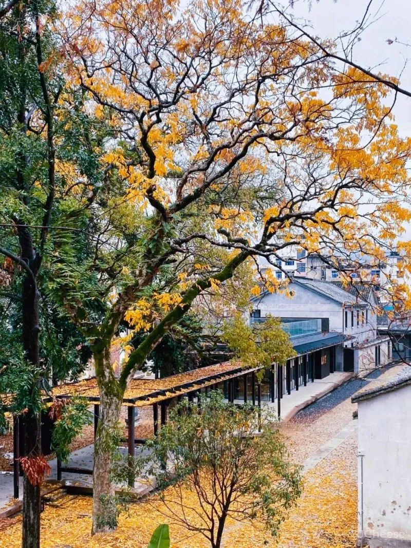 2021全新行程 看王澍、徐甜甜、张雷、刘家琨等大咖设计之下的江南乡村秘境