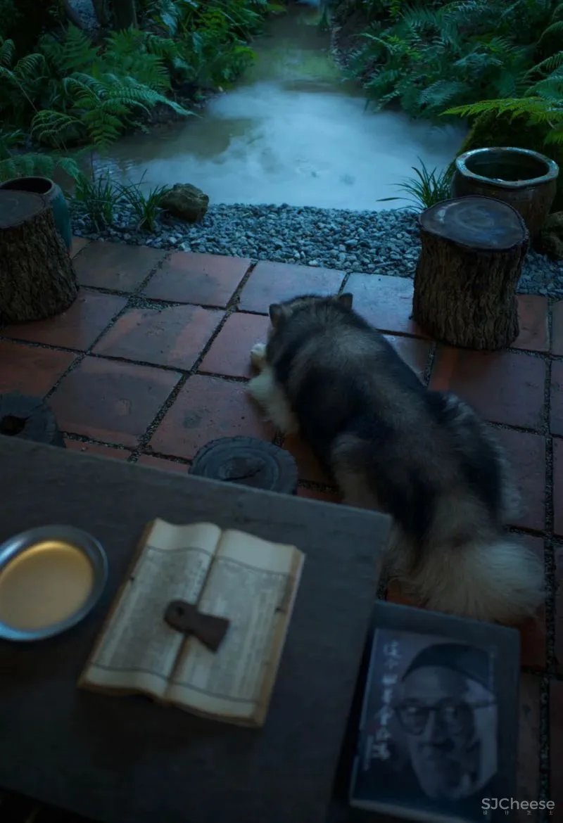 中式庭院,这才是最让我们心动的院子