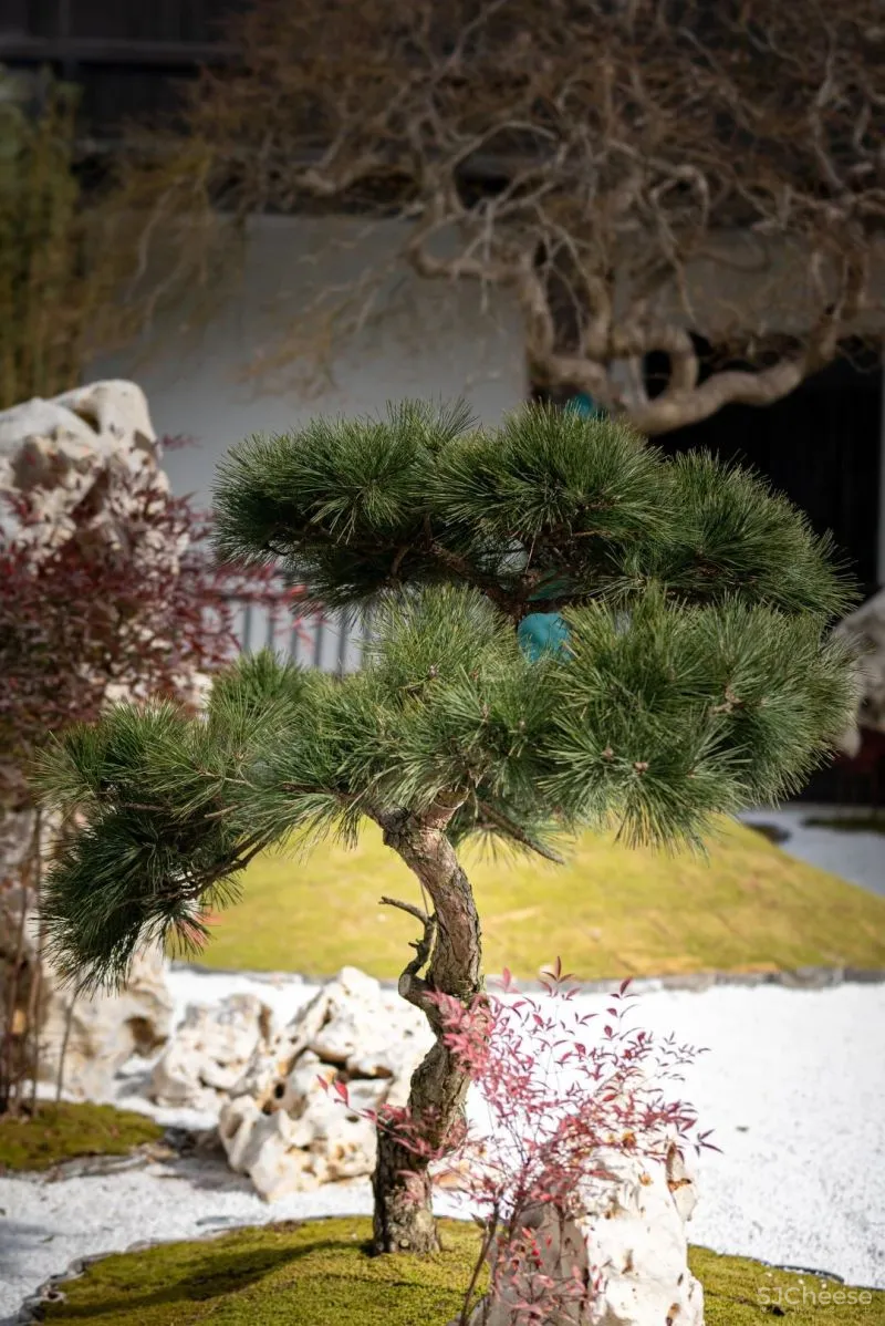 东钱湖畔再现国牌奢华酒店，在隈研吾的美术馆旁，建了一座日式庭院