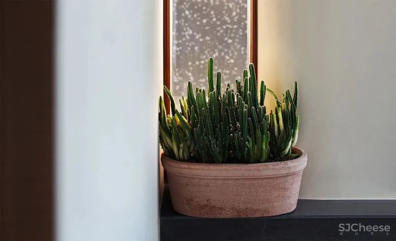 新作|布鲁盟设计 630㎡ 顶级艺术合院,自在与安静的完美演绎