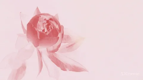 李玮珉最新力作 重庆顶奢豪宅「万科.鹅岭峯」大平层样板房