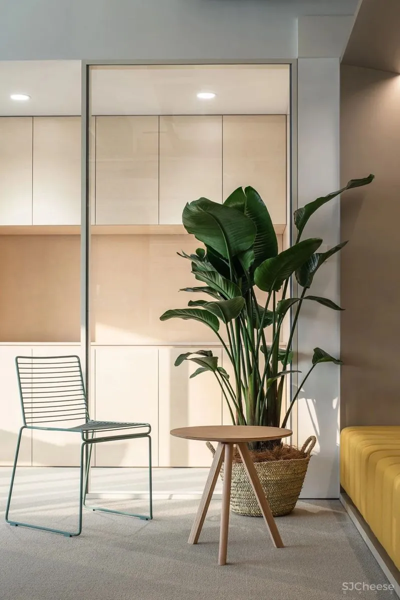 红山设计 自然延展的纯粹空间,气质十足的ECCO总部办公