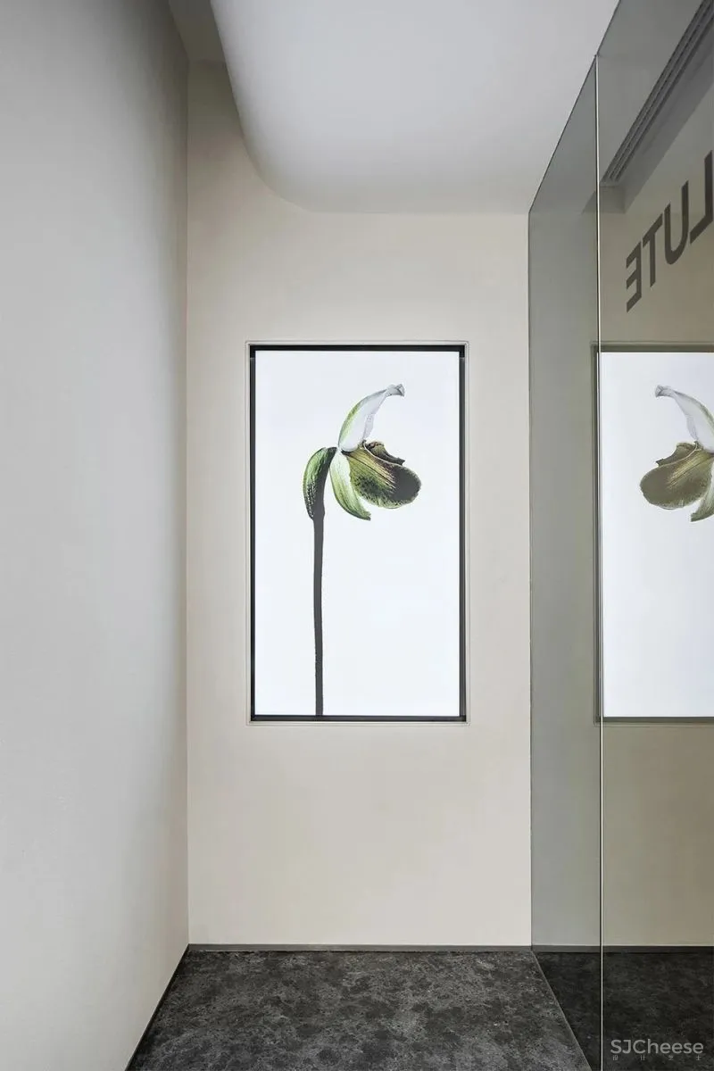 Absolute精品花艺店,上海