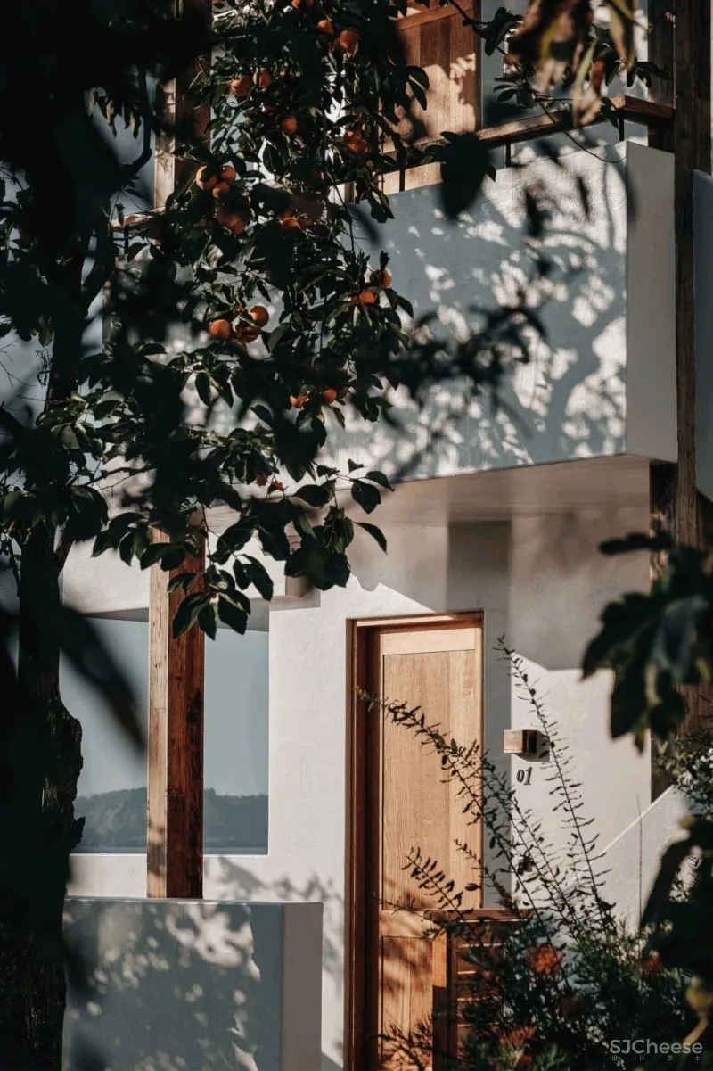 大理夕上酒店 尚壹扬 谢柯