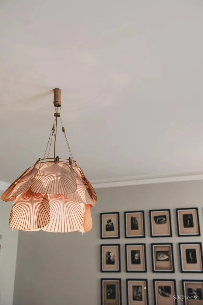 极致自然,一种独特的美学!