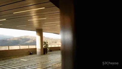 1800㎡大豪宅，月租竟要248万？！主卧带天窗，连马斯克都想住！