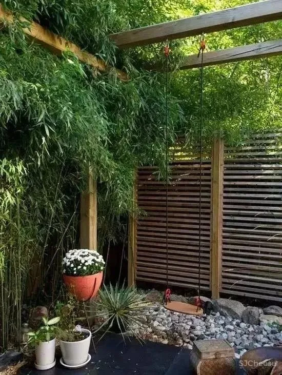 假如，你有个院子...