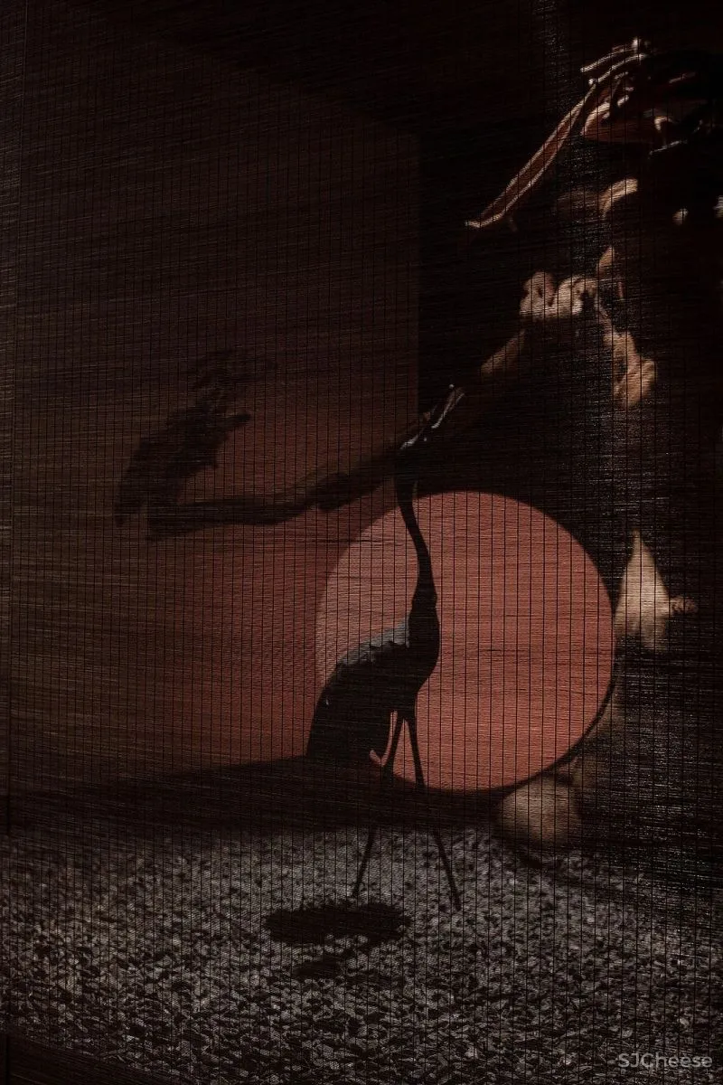 尼克设计:江南旧游忆几处,一碗苏面味一生