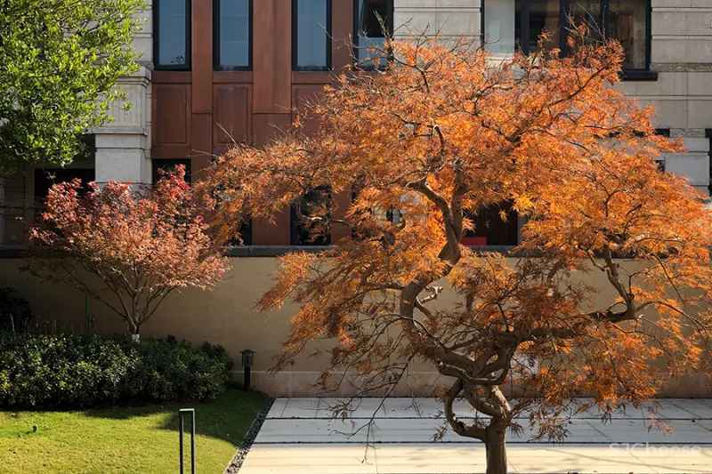 大士设计 • 墨韵西溪|中西合璧的家,“色香味”的人文建筑表达