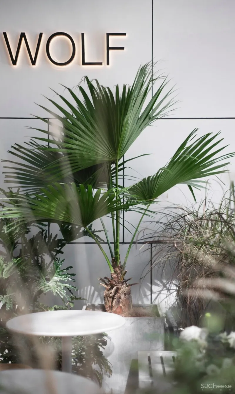 故事空间新作 | 城市狩猎者BLUE WOLF