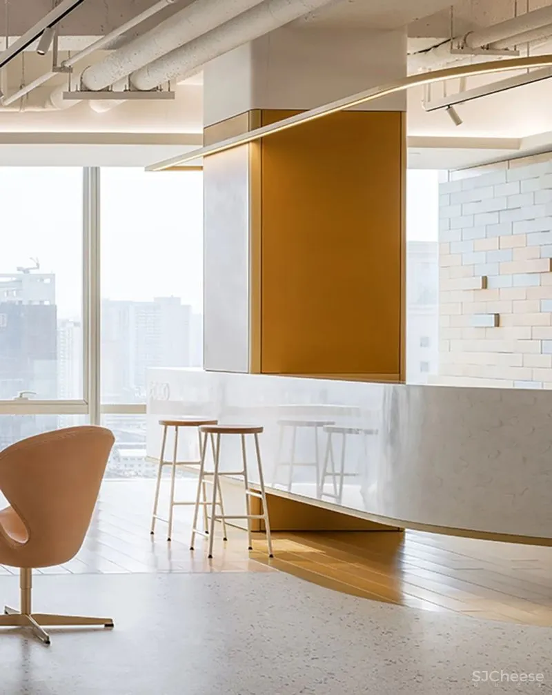 红山设计 自然延展的纯粹空间,气质十足的ECCO总部办公