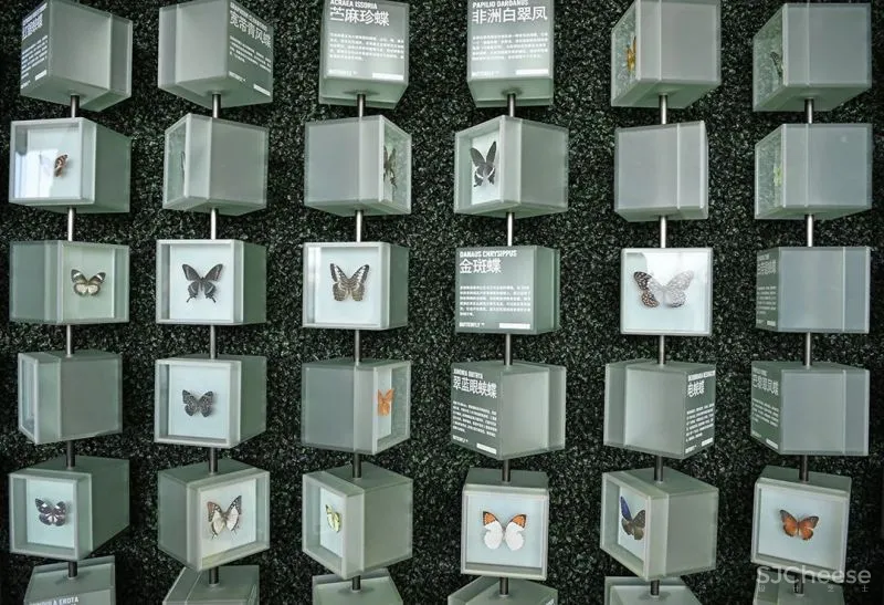 关联以空间的「解构性」和「抽象性」 构序「超现实的界面」