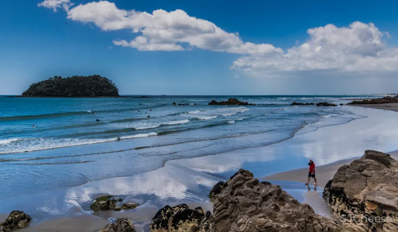 则灵艺术丨卓越蔚蓝铂樾府:开启绿野仙踪探险之旅