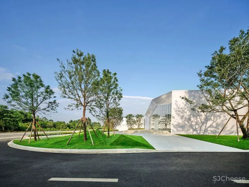 把花园搬进室内,打造自然主义的都市栖居!