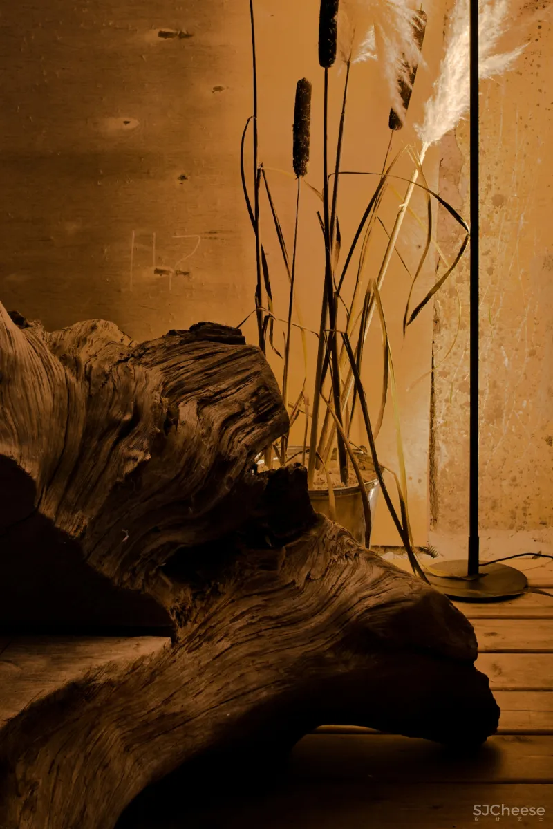 DA bureau丨圣彼得堡从“废墟”中生长出的建筑庭院