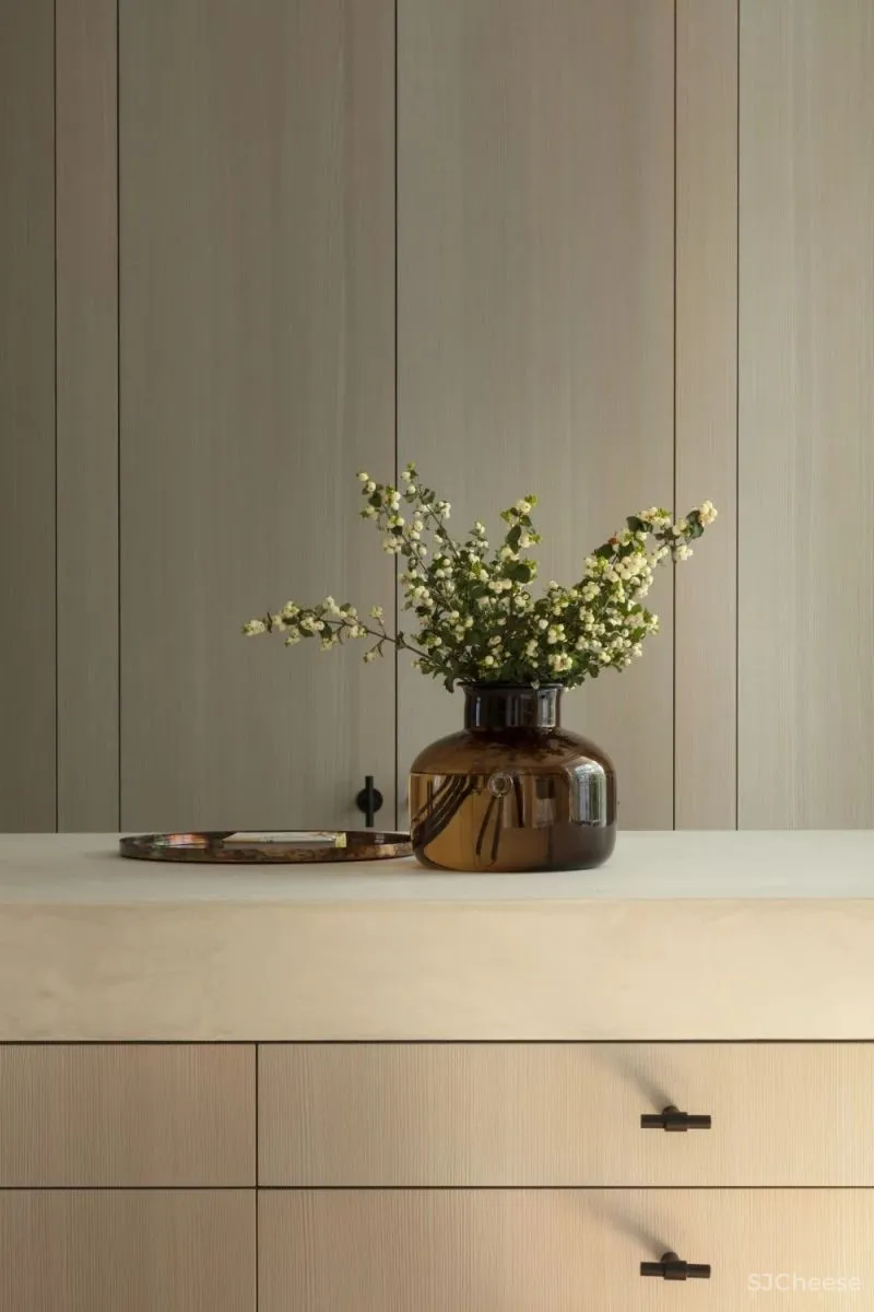 意大利联排别墅 2020 JUMA architects