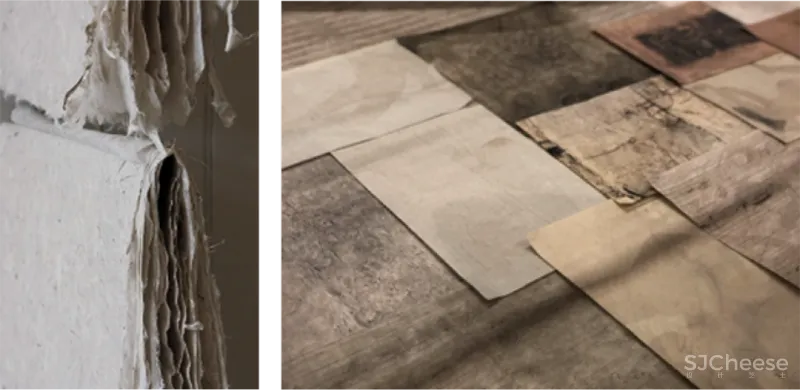 新作|布鲁盟设计 630㎡ 顶级艺术合院,自在与安静的完美演绎