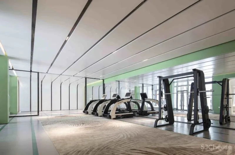 置在设计:在星光森林畅游梦想