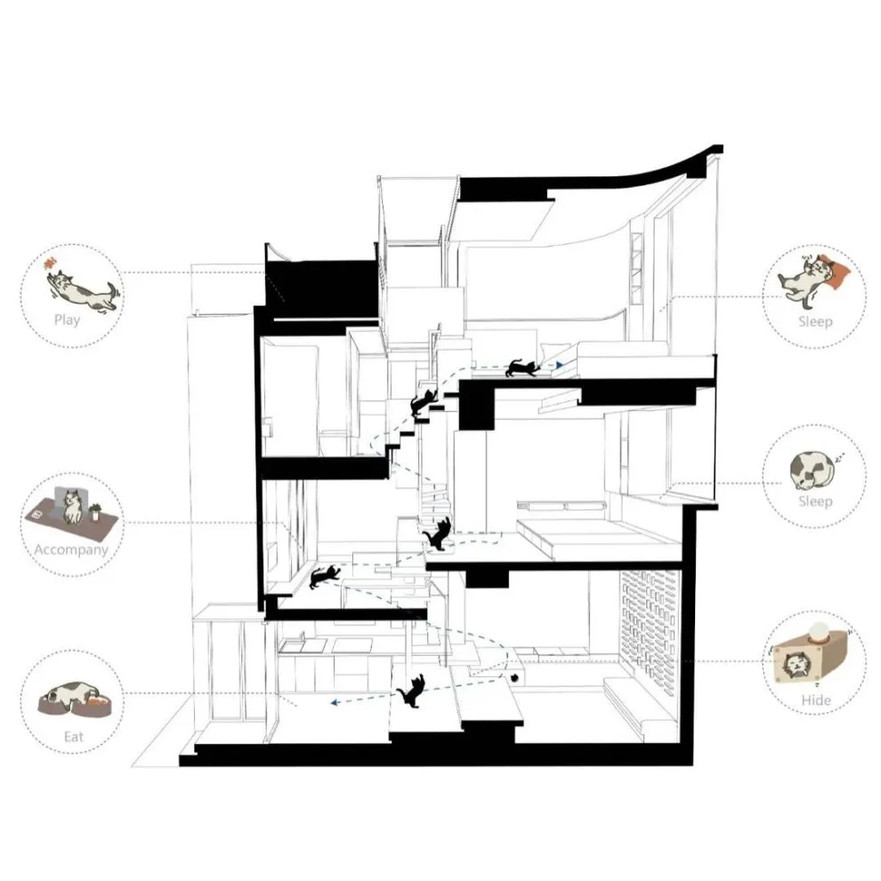 谢英凯『窝·居』｜房子不仅仅是给人住的，猫也有“主人权”