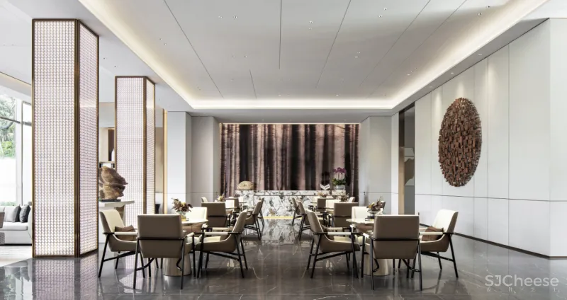 置在设计:在星光森林畅游梦想