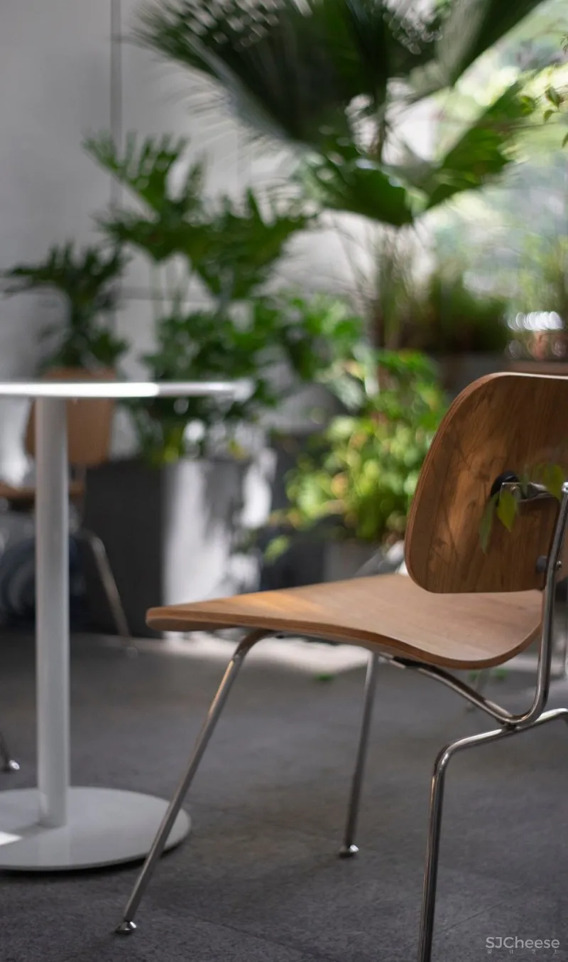 故事空间新作 | 城市狩猎者BLUE WOLF