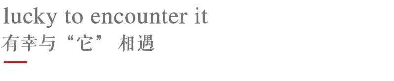 新作 终于来了，2020 中国最美幼儿园——广州圣果国际幼儿园！