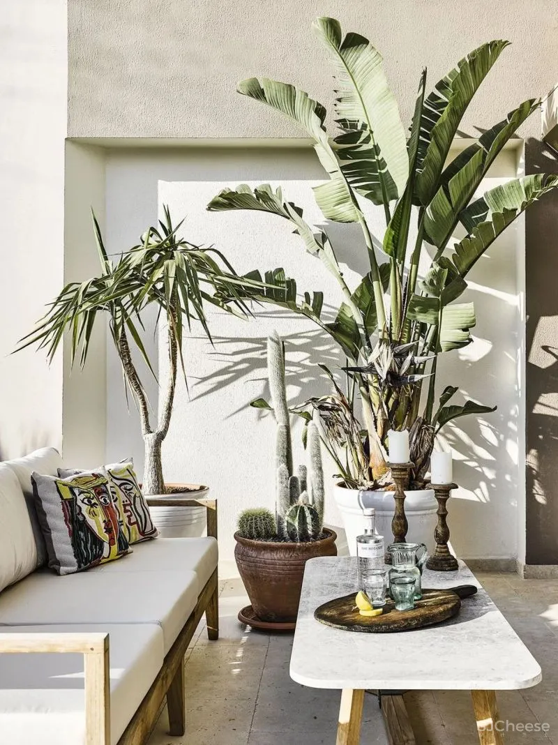 性冷淡已经OUT了,现在流行“可盐可甜”!