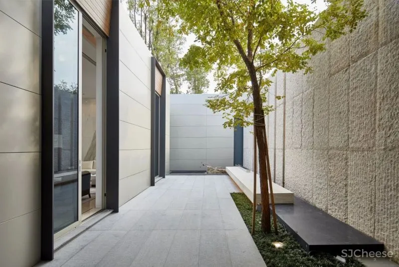 SCDA 绝美的优雅